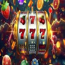 win331
